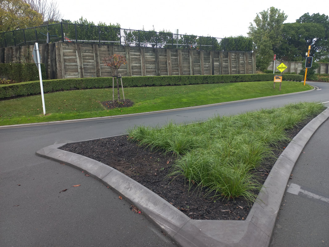 Hydroseeding project by Tracktion Earthworks